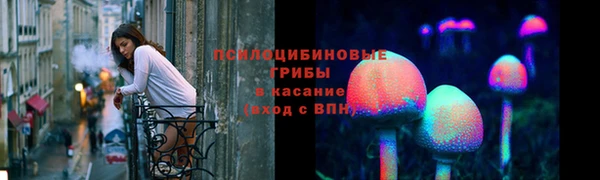 MESCALINE Осинники