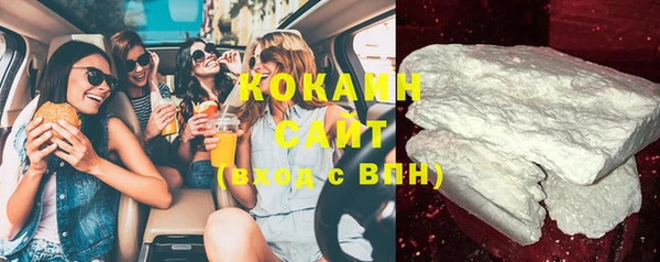 бошки Няндома