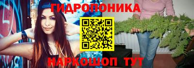 шишки Апшеронск