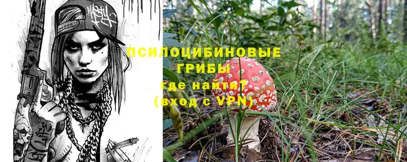 Галлюциногенные грибы MAGIC MUSHROOMS  площадка наркотические препараты  Лабинск  сколько стоит 