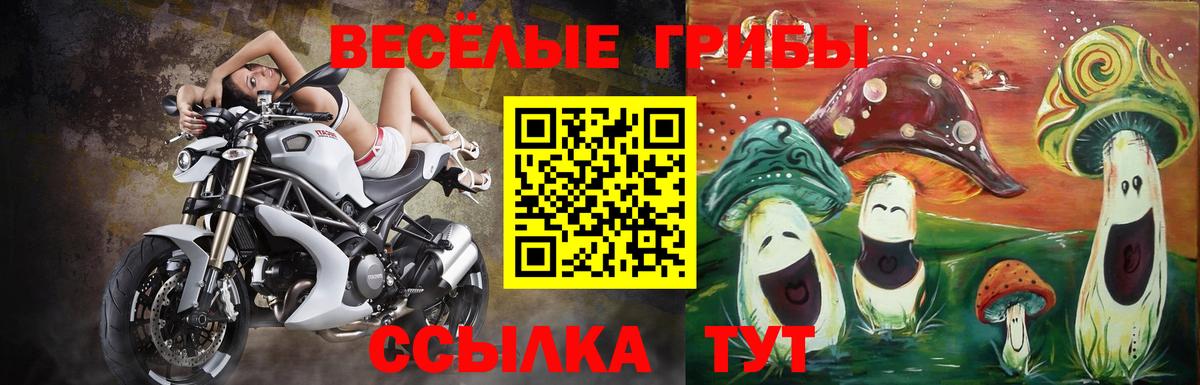 Псилоцибиновые грибы мухоморы Лабинск